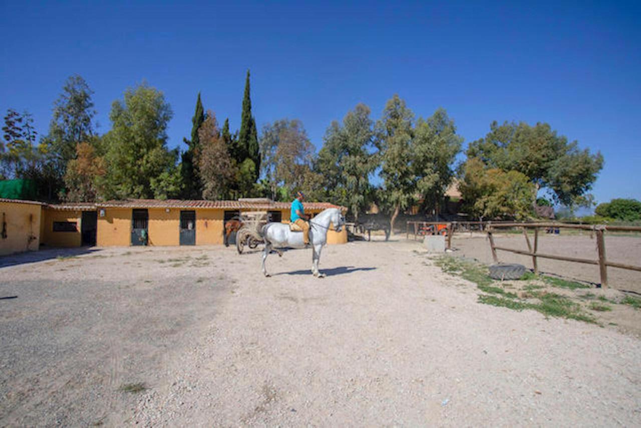 Casas Rurales Da Luigi-Bungalows-4 Adultos-2 Dormitorios-Piscina-Paseos A Caballo-Cartama-Malaga Exterior foto