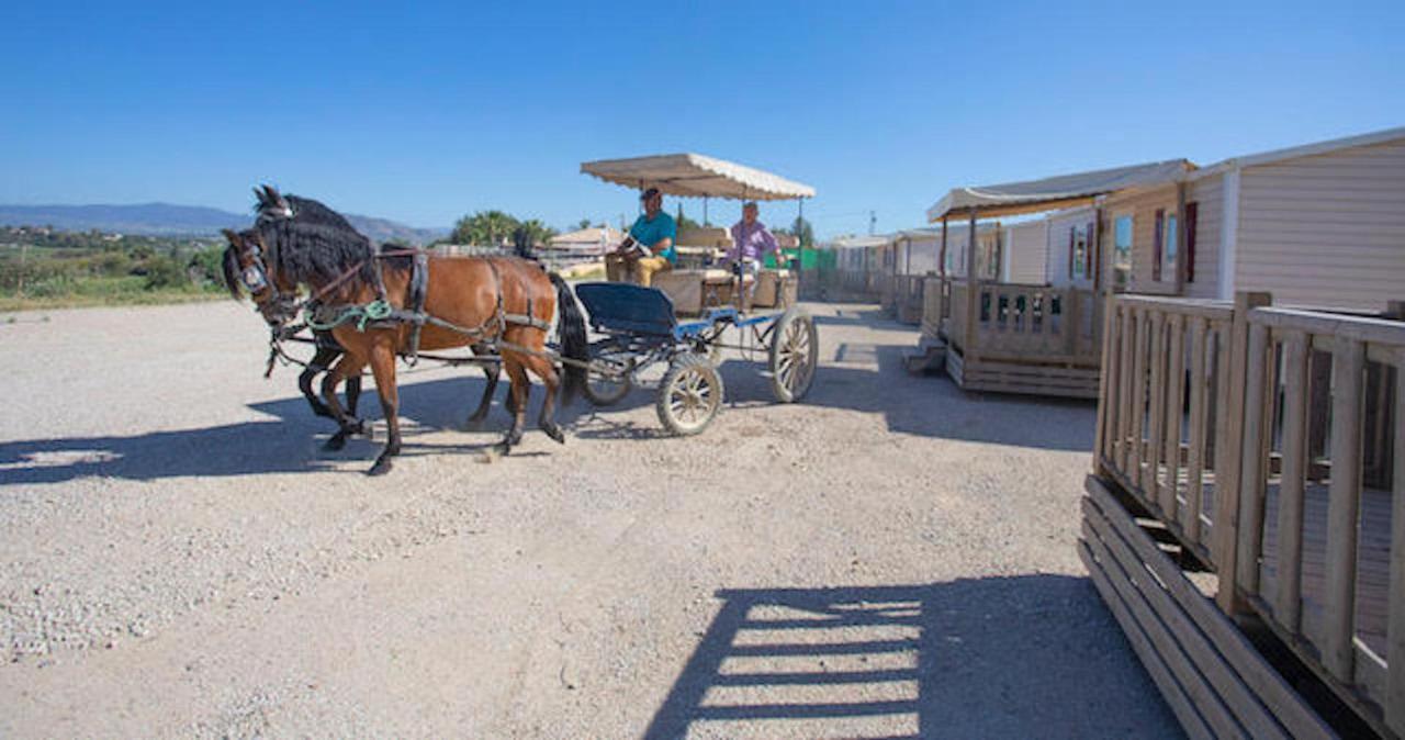 Casas Rurales Da Luigi-Bungalows-4 Adultos-2 Dormitorios-Piscina-Paseos A Caballo-Cartama-Malaga Exterior foto